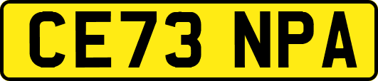 CE73NPA