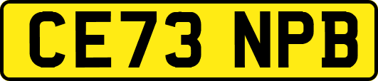 CE73NPB