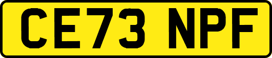 CE73NPF