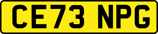 CE73NPG
