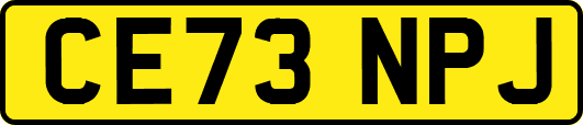 CE73NPJ