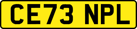 CE73NPL