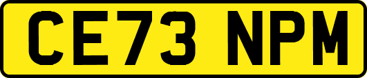 CE73NPM