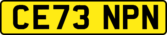 CE73NPN