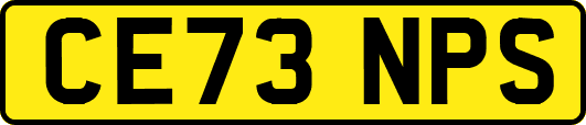 CE73NPS