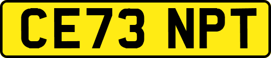 CE73NPT