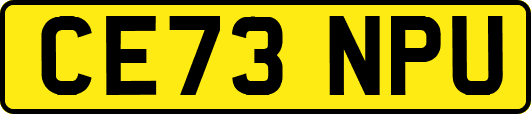 CE73NPU