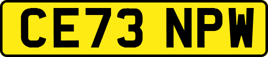 CE73NPW