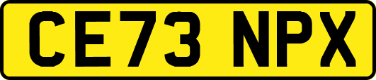 CE73NPX