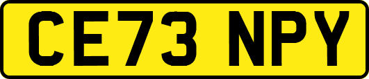 CE73NPY