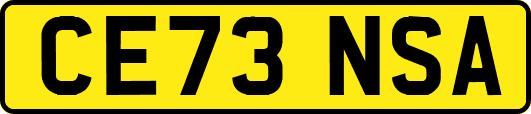CE73NSA