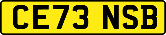 CE73NSB