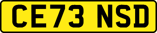 CE73NSD