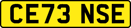 CE73NSE