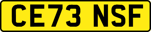 CE73NSF