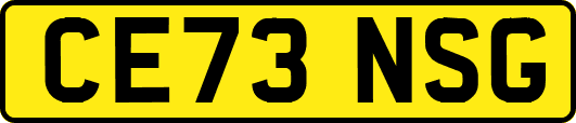 CE73NSG