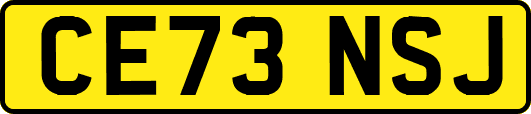 CE73NSJ