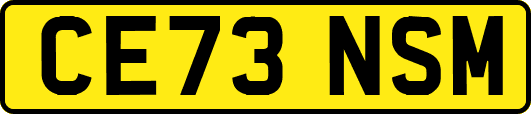 CE73NSM