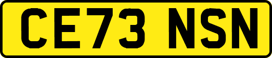 CE73NSN
