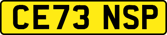 CE73NSP