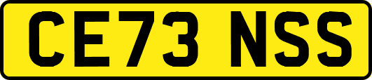 CE73NSS