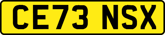 CE73NSX