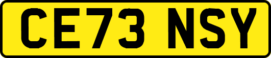 CE73NSY