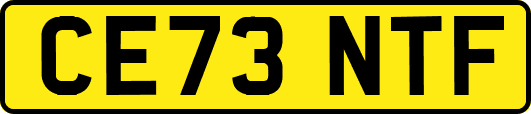 CE73NTF