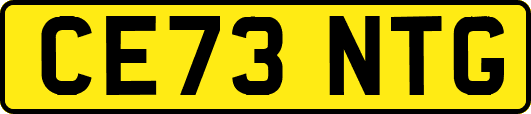 CE73NTG