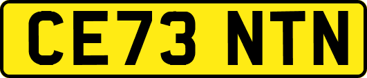 CE73NTN