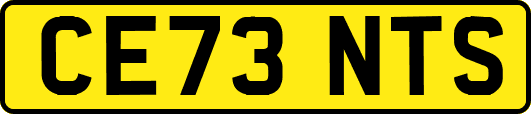 CE73NTS