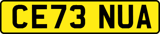CE73NUA