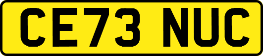 CE73NUC