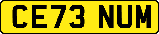 CE73NUM