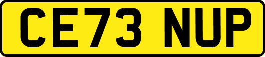 CE73NUP