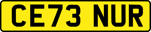CE73NUR