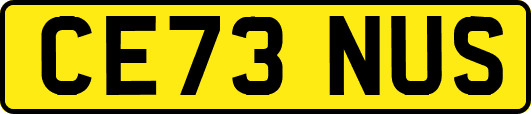 CE73NUS