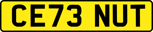 CE73NUT