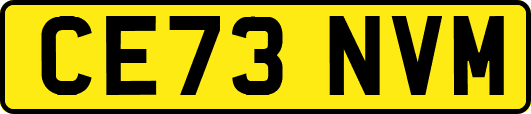 CE73NVM