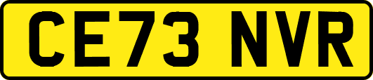 CE73NVR