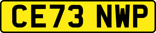 CE73NWP