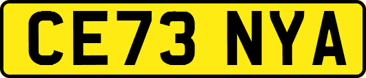 CE73NYA