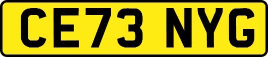 CE73NYG