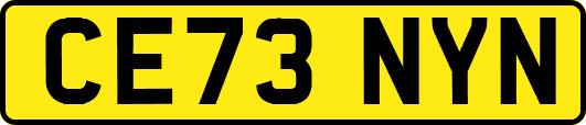 CE73NYN