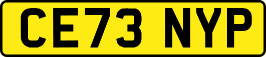 CE73NYP