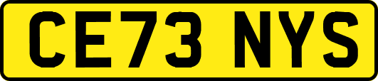 CE73NYS
