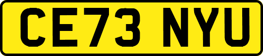 CE73NYU