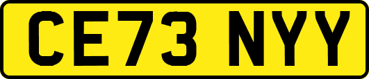 CE73NYY
