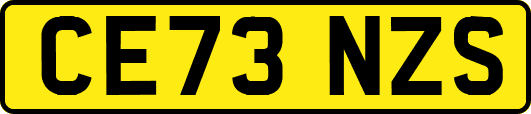 CE73NZS