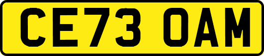 CE73OAM